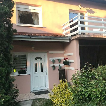 Apartmani Stojanovic Sremska Kamenica Εξωτερικό φωτογραφία